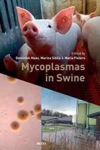 Mycoplasmas in Swine