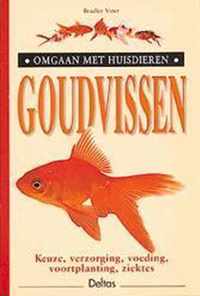 Goudvissen Omgaan Met Huisdieren