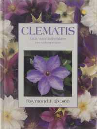 Clematis