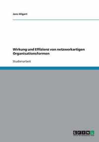 Wirkung und Effizienz von netzwerkartigen Organisationsformen