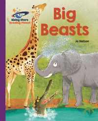 Reading Planet - Big Beasts - Purple