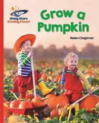 Reading Planet - Grow a Pumpkin - Red B