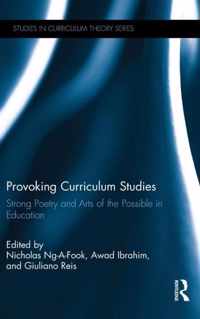 Provoking Curriculum Studies