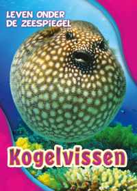 Leven onder de zeespiegel  -   Kogelvissen