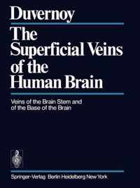 The Superficial Veins of the Human Brain