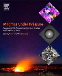 Magmas Under Pressure