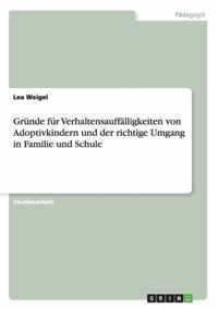 Grunde fur Verhaltensauffalligkeiten von Adoptivkindern und der richtige Umgang in Familie und Schule