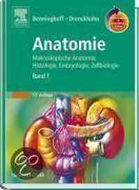 Benninghoff, Drenckhahn, Anatomie