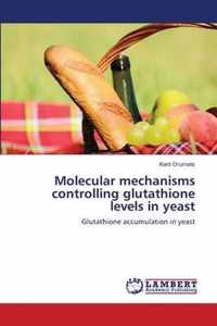 Molecular mechanisms controlling glutathione levels in yeast