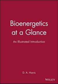 Bioenergetics at a Glance