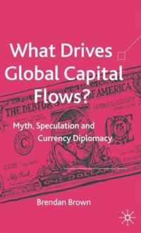 What Drives Global Capital Flows?