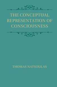 The Conceptual Representation of Consciousness