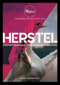 Reflect  -   Herstel