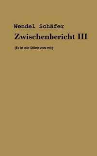 Zwischenbericht III