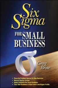 Six Sigma for Small Business