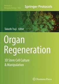 Organ Regeneration