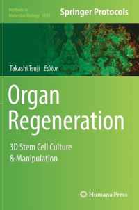 Organ Regeneration