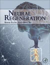 Neural Regeneration