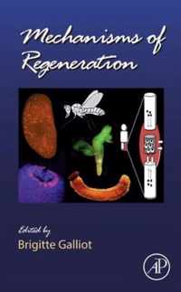 Mechanisms of Regeneration