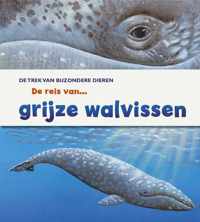 De trek van bijzondere dieren  -   De reis van grijze walvissen