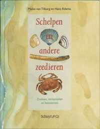 Schelpen En Andere Zeedieren