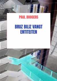 Bruz Biliz vangt entiteiten - Paul Boogers - Paperback (9789464354409)