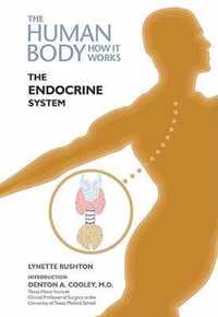 The Endocrine System