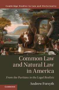 Common Law and Natural Law in America