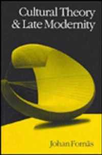 Cultural Theory and Late Modernity