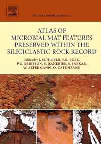 Atlas of Microbial Mat Features Preserved within the Siliciclastic Rock Record