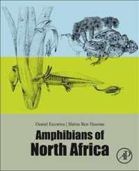 Amphibians of North Africa