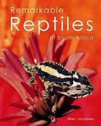 Remarkable reptiles of South Africa