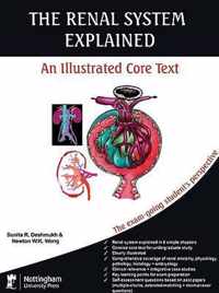 The Renal System Explained