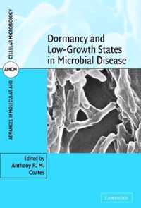 Dormancy and Low Growth States in Microbial Disease