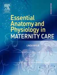 Essential Anatomy & Physiology in Maternity Care