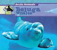 Beluga Whales