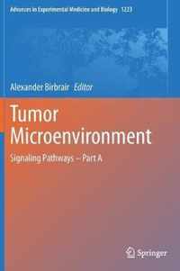 Tumor Microenvironment
