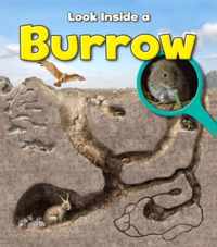 Burrow