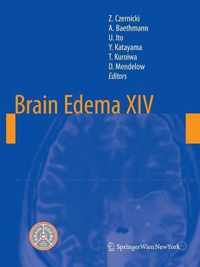 Brain Edema XIV