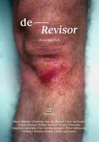 Revisor 22