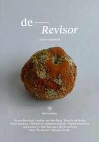 Revisor 31