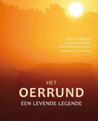 Het oerrund