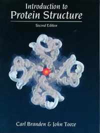 Introduction to Protein Structure