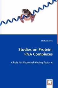 Studies on Protein