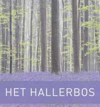 Het Hallerbos