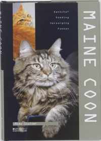 Maine Coon