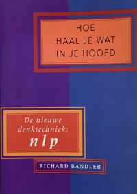 Hoe haal je wat in je hoofd - Richard Bandler