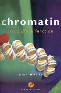 Chromatin