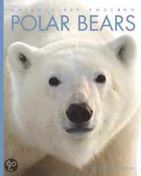 Polar Bears