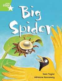 Rigby Star Guided Phonic Opportunity Readers Green: Big Spider Pupil Book (Single)